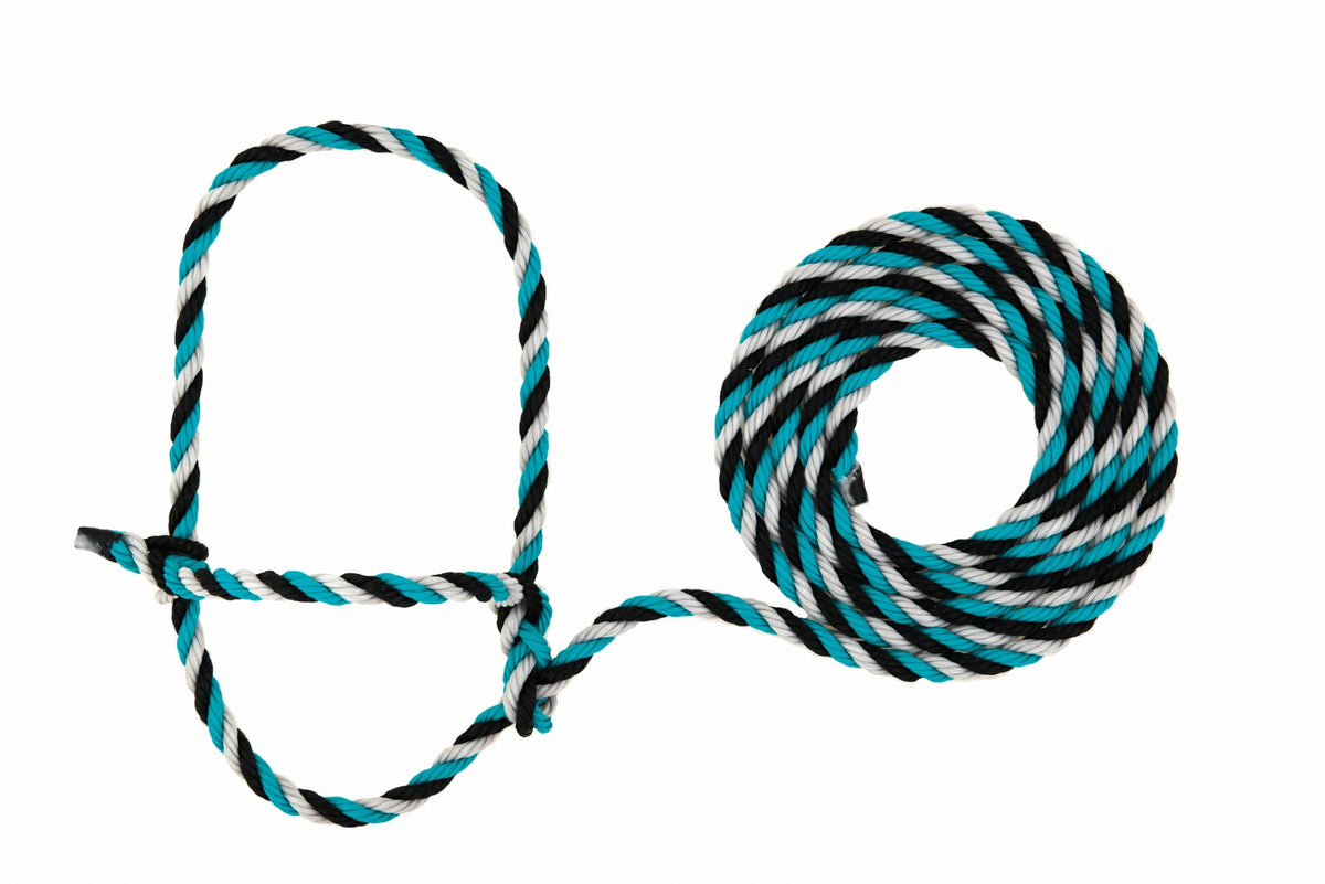 5-977693-01.jpg