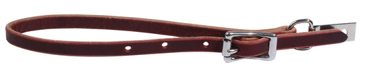 5-995775.jpg