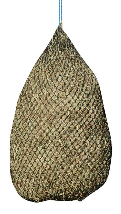 TE032405_846935.jpg