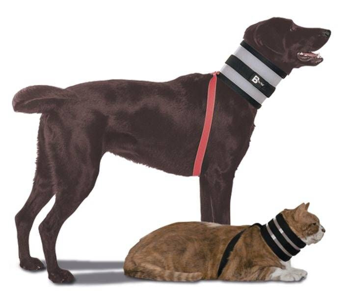 TH1570873_51808.jpg