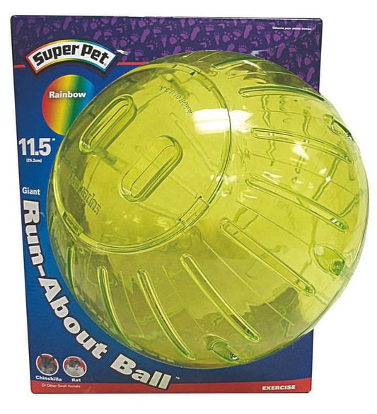 TH216922.jpg
