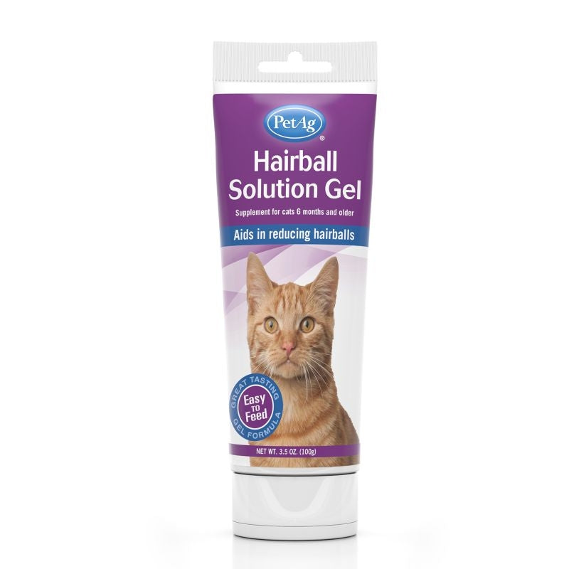 TP04001.jpg