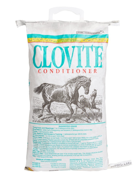 clover1.jpg
