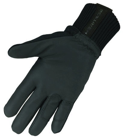 hg299palm.jpg