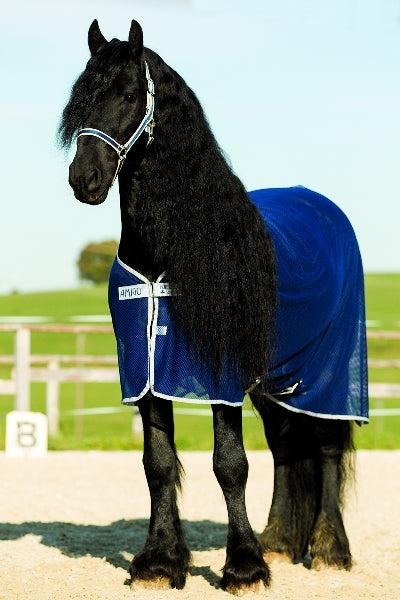 horseware-acrn24og-bmtb_01.jpg