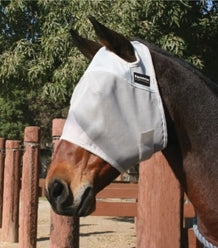 pc-eq_flymask_wo_ears.jpg