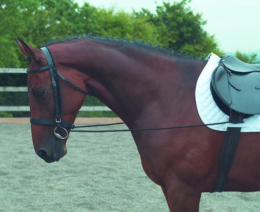 shires-433.jpg