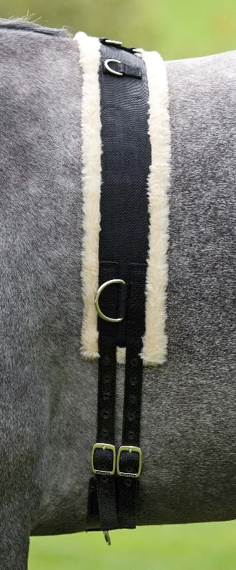 shires-469.jpg