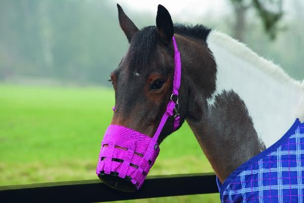 shires-495n.jpg